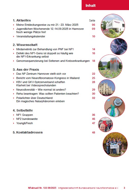 NFaktuell 133 Inhaltsverzeichnis